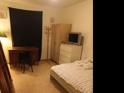 Övrig - 