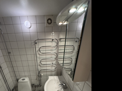 Övrig - 