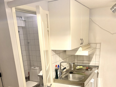 Övrig - 