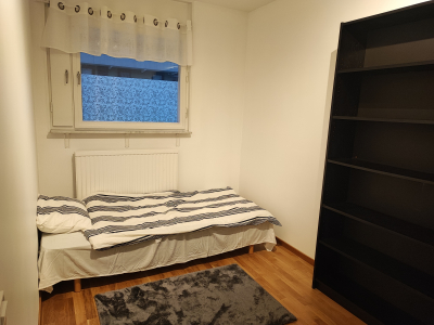 Övrig - 