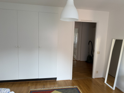 Övrig - 