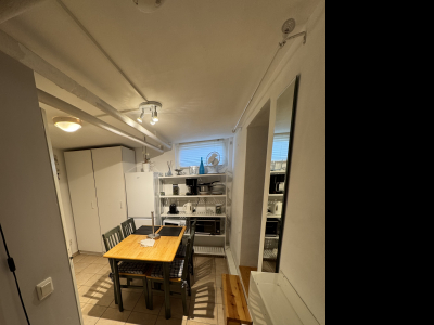 Övrig - 