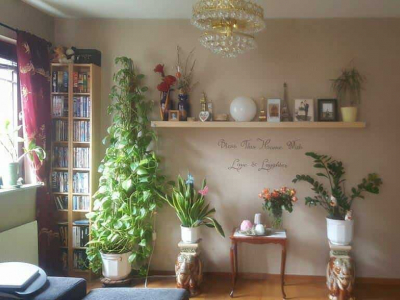 Övrig - Living room