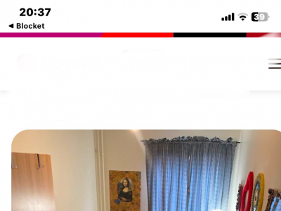 Övrig - 